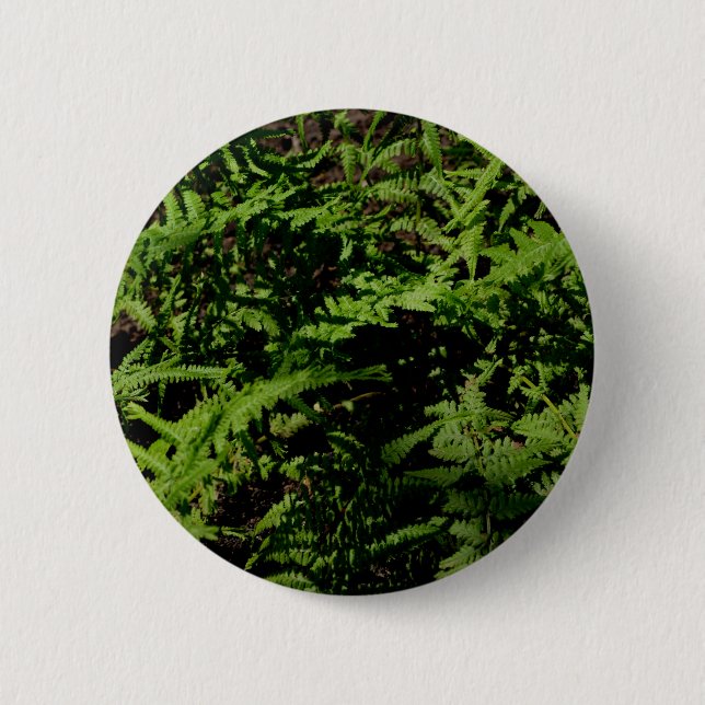 Botanical green Forest Floor Ferns Pinback Button (Front)