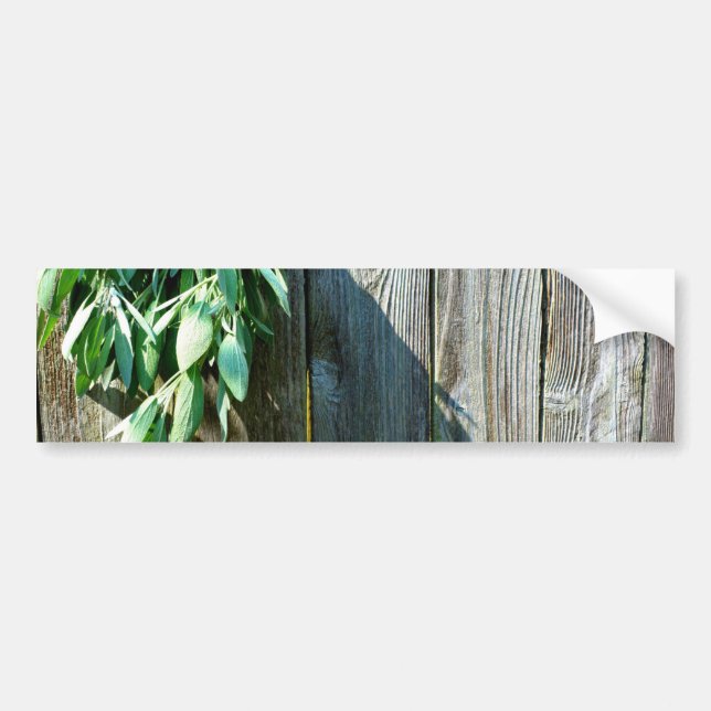 Botanical green herbs distressed wood grain bumper sticker (Front)