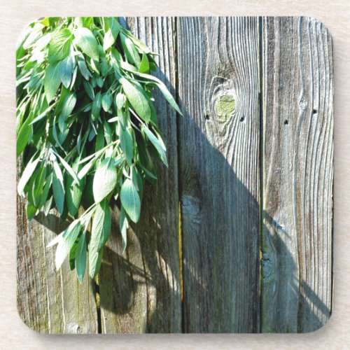 Botanical green herbs distressed wood grain coaster