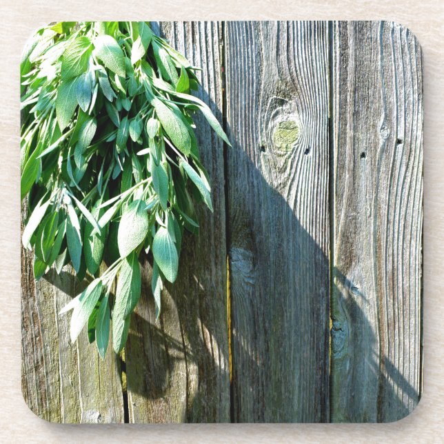 Botanical green herbs distressed wood grain coaster (Front)
