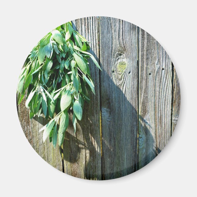 Botanical green herbs distressed wood grain magnet (Front)