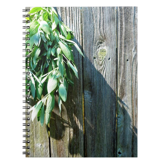 Botanical green herbs distressed wood grain notebook (Front)