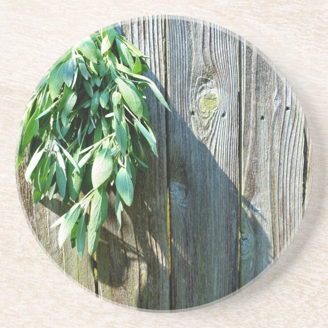 Botanical green herbs distressed wood grain sandstone coaster (Front)
