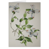 Botanical greeting cards (Front)