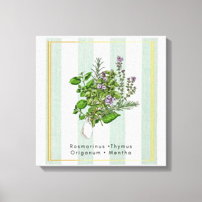 Botanical Herb Garden Medley - Sage Kitchen Art Canvas Print (Front)