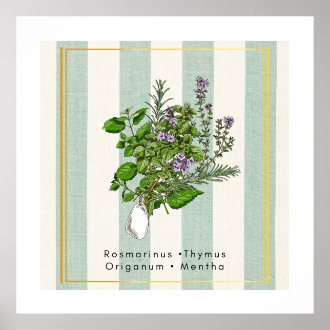 Botanical Herb Garden Medley - Sage Kitchen Art Poster (Front)
