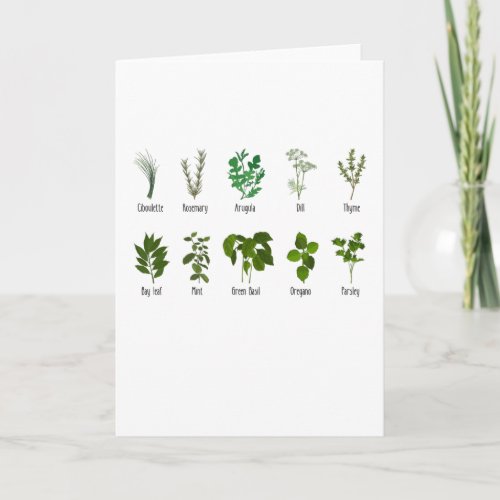 Botanical Herbs Herbalist Gift Garden Birthday Card