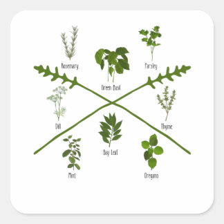 Botanical Herbs Herbalist Gift Garden Birthday Square Sticker