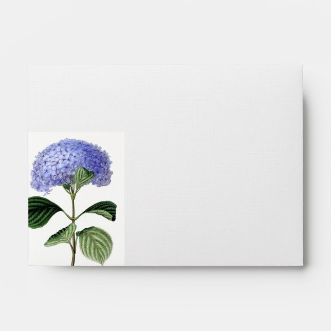 Botanical Hydrangea Card Envelope (Front)