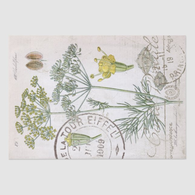 Botanical Illustration Dill French Postmark Craft  Tissue Paper (Front)