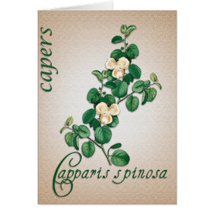 Botanical illustration of Capers blank card