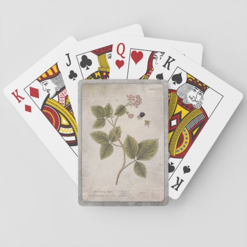 Botanical Illustration Playing Cards _ Blackberry