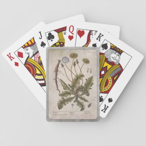 Botanical Illustration Playing Cards _ Dandelion