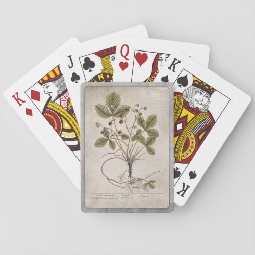 Botanical Illustration Playing Cards Strawberry