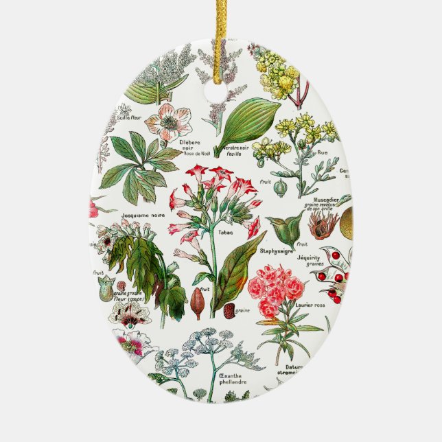 Botanical Illustrations Ceramic Ornament (Front)