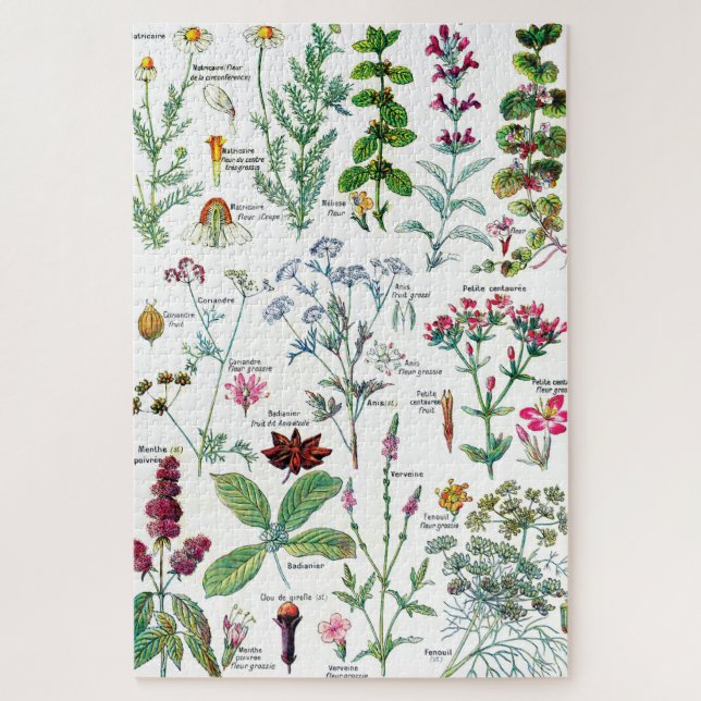 Botanical Illustrations Jigsaw Puzzle (Vertical)