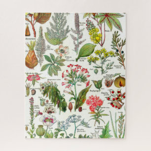 Botanical Illustrations Jigsaw Puzzle