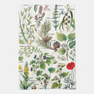 Botanical Illustrations Kitchen Towel