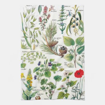 Botanical Illustrations Kitchen Towel by colorfulworld at Zazzle