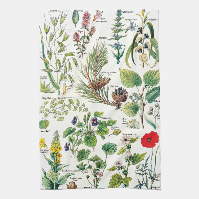 Botanical Illustrations Kitchen Towel (Vertical)