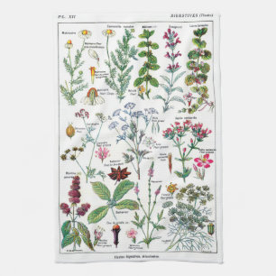 Botanical Illustrations Kitchen Towel