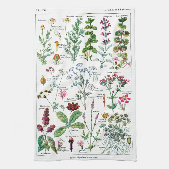 Botanical Illustrations Kitchen Towel (Vertical)