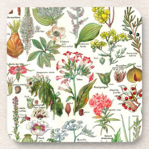 Botanical Illustrations _ Larousse Plants Beverage Coaster