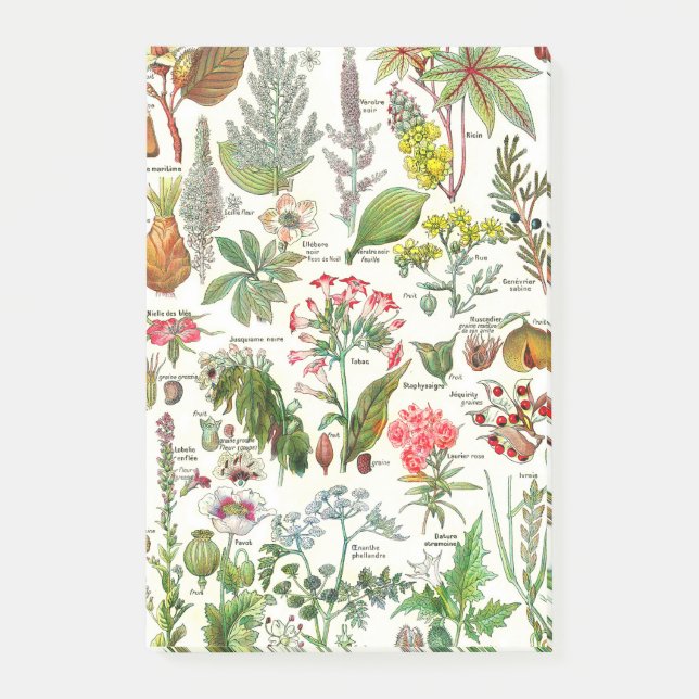 Botanical Illustrations-Larousse Plants dangereus Post-it Notes (Front)