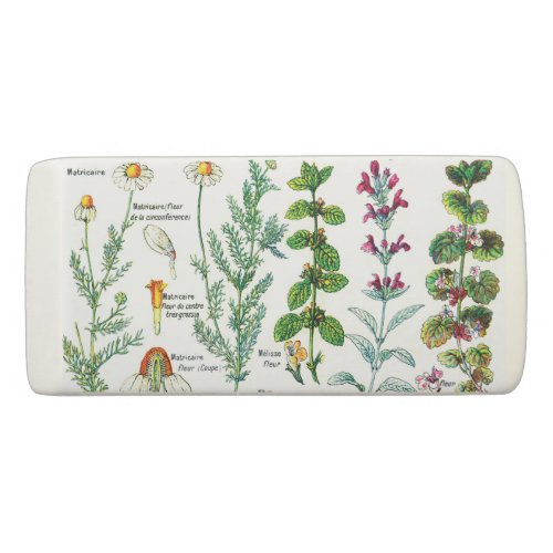 Botanical Illustrations _ Larousse Plants Eraser