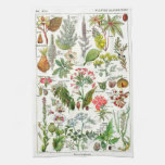 Botanical Illustrations - Larousse Plants Kitchen Towel at Zazzle