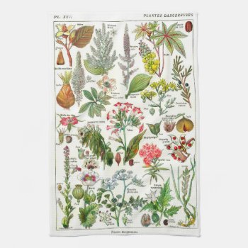 Botanical Illustrations - Larousse Plants Kitchen Towel by colorfulworld at Zazzle