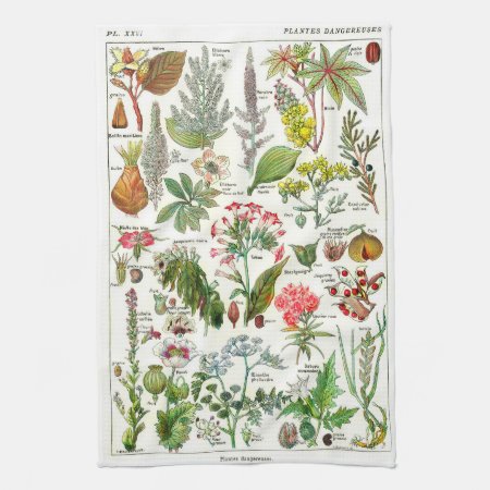 Botanical Illustrations - Larousse Plants Kitchen Towel