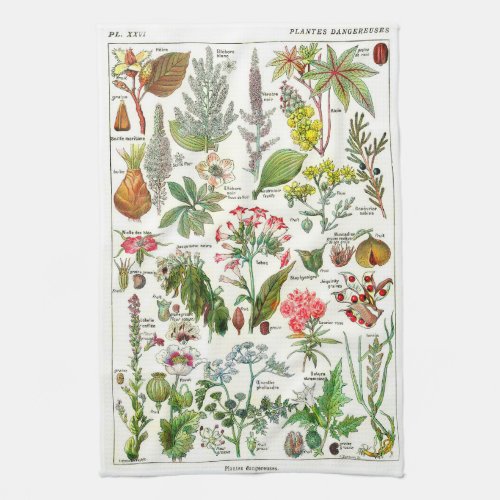 Botanical Illustrations _ Larousse Plants Kitchen Towel