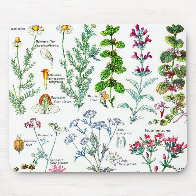 Botanical Illustrations - Larousse Plants Mouse Pad (Front)