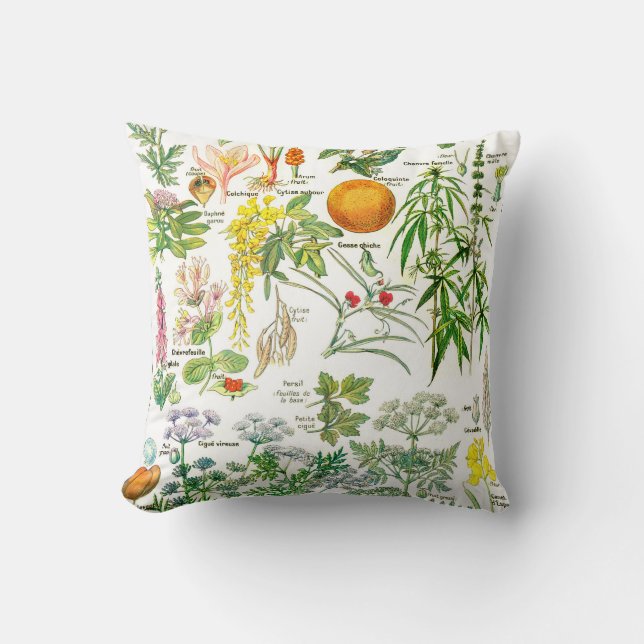 Botanical Illustrations-Larousse Plants Throw Pillow (Front)