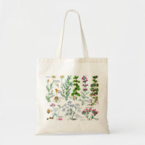 Botanical Illustrations - Larousse Plants Tote Bag