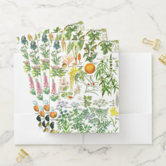 Botanical Illustrations Pocket Folder