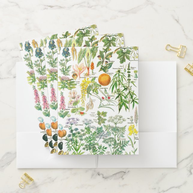 Botanical Illustrations Pocket Folder (In Situ)