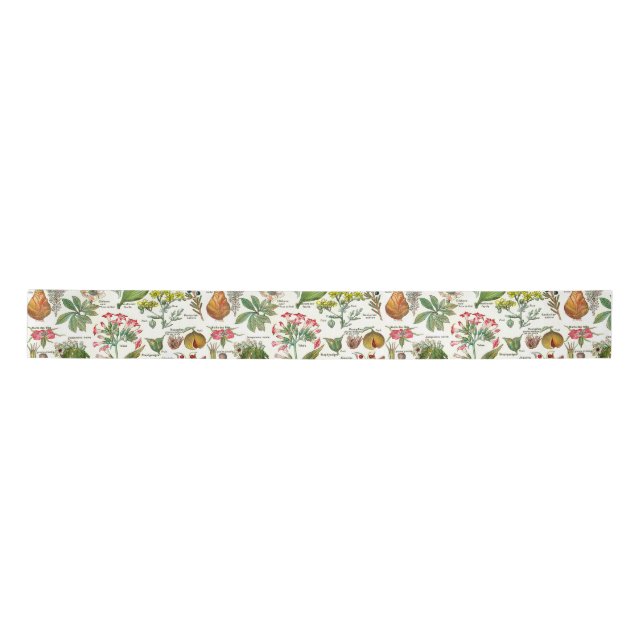 Botanical Illustrations Satin Ribbon (Front)