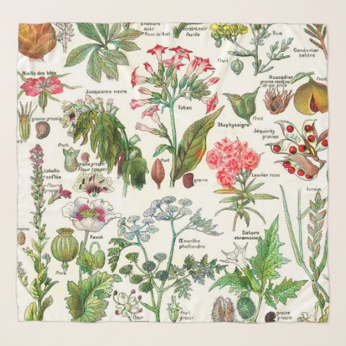 Botanical Illustrations Scarf