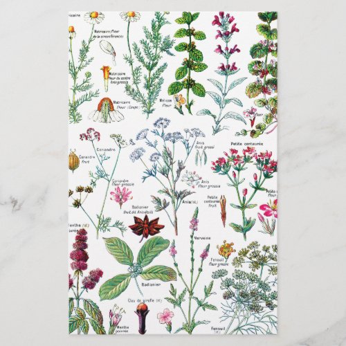 Botanical Illustrations Stationery