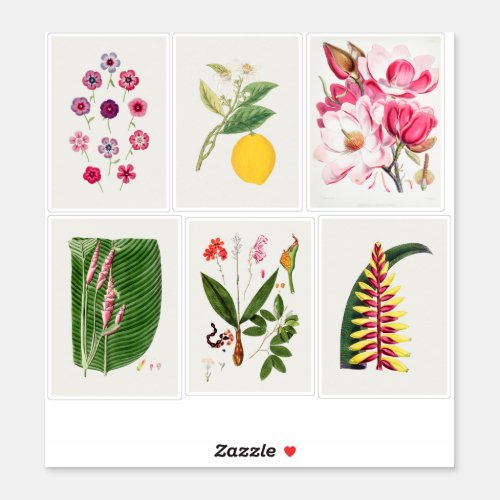 Botanical Illustrations Sticker