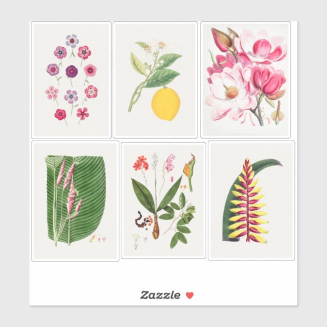 Botanical Illustrations Sticker (Sheet)