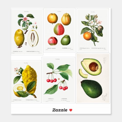 Botanical Illustrations Sticker