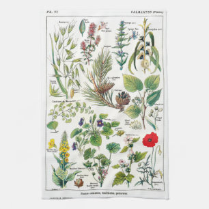 Botanical Illustrations Towel