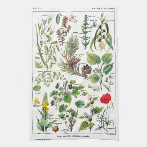 Botanical Illustrations Towel