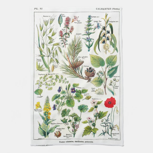 Botanical Illustrations Towel (Vertical)
