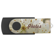 Botanical Impressionist Wild Plum Flowers and Name