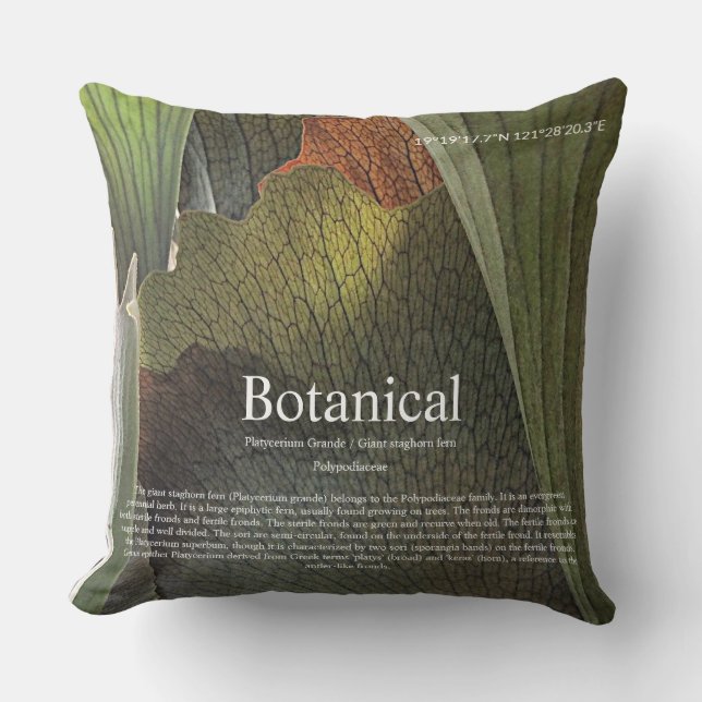 Botanical interior. throw pillow (Front)
