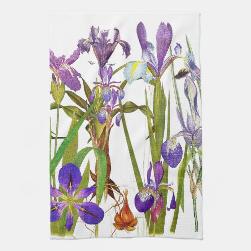 Botanical Iris Floral Flowers Kitchen Towels